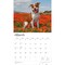 American Pit Bull Terriers | 2026 14 x 24 Inch (Hanging) Monthly Deluxe Wall Calendar | Plastic-Free